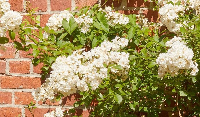 Außenansicht Salon Landrock Außenansicht Salon Landrock